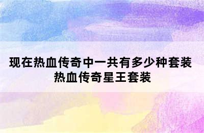 现在热血传奇中一共有多少种套装 热血传奇星王套装